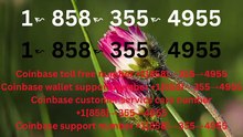 !!!!Complete List of Official Coinbase Customer Service Number, HELP-DESK Helpline 24/7