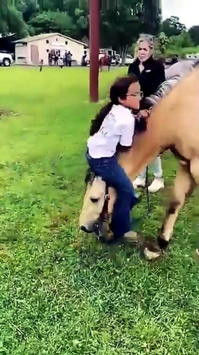 Horses