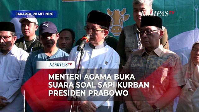 Menag Nasaruddin Buka Suara soal Sapi Kurban Presiden Prabowo