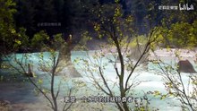 友情提示