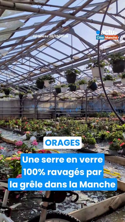 « En trois minutes », une serre en verre ravagée entièrement par la grêle dans la Manche