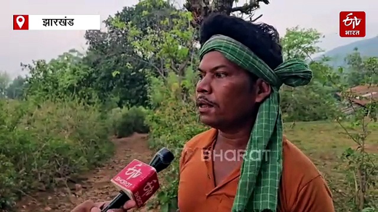 खाट पर सिस्टम का जमीनी सच, पारसनाथ की तराई में बसे 10 टोले की एक ही कहानी, सवाल सिर्फ एक - मंदिर तक सड़क बन सकती है तो यहां क्यों नहीं?