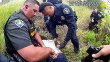K9 PD with Jim Belushi S01E18 - Bravery and Sacrifice