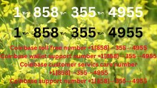 Official Coinbase™ Toll Free℗ Phone Number Guide Step-by-Step Help & Support Coinbase™