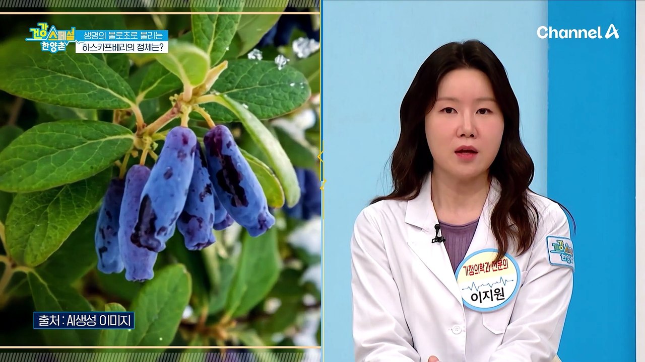 다양한 영양소와 항산화 성분이 풍부한 베리의 왕 '킹베리' 생명의 불로초로 불리는 하스카프베리