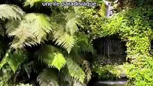 Une région d'Angleterre avec des airs d'île paradisiaque