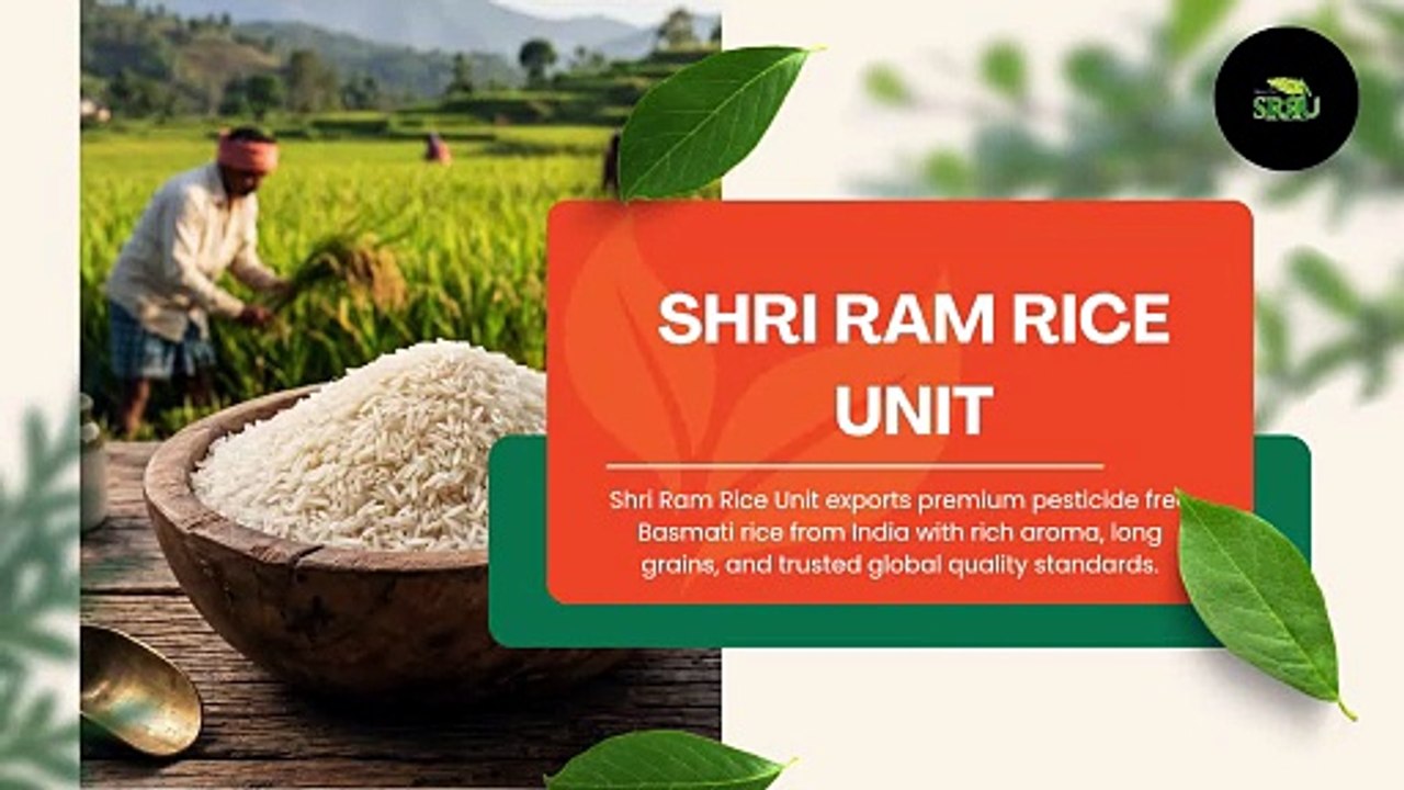 Premium Indian Basmati Rice Export Solutions by Shri Ram Rice Unit