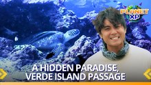 Planet XP: The beauty of Verde Island Passage needs our protection!