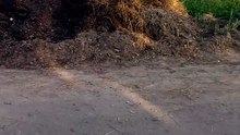 Kheto ka kaam.