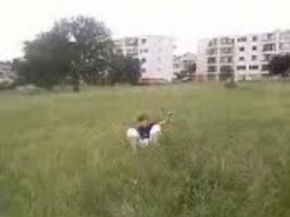 Evaa Stellaa