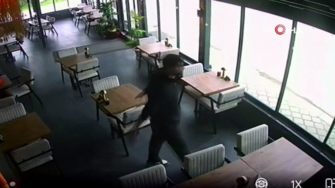 Kendini ‘kaçak kurbanlık’ sanan yılkı atı kafeyi birbirine kattı