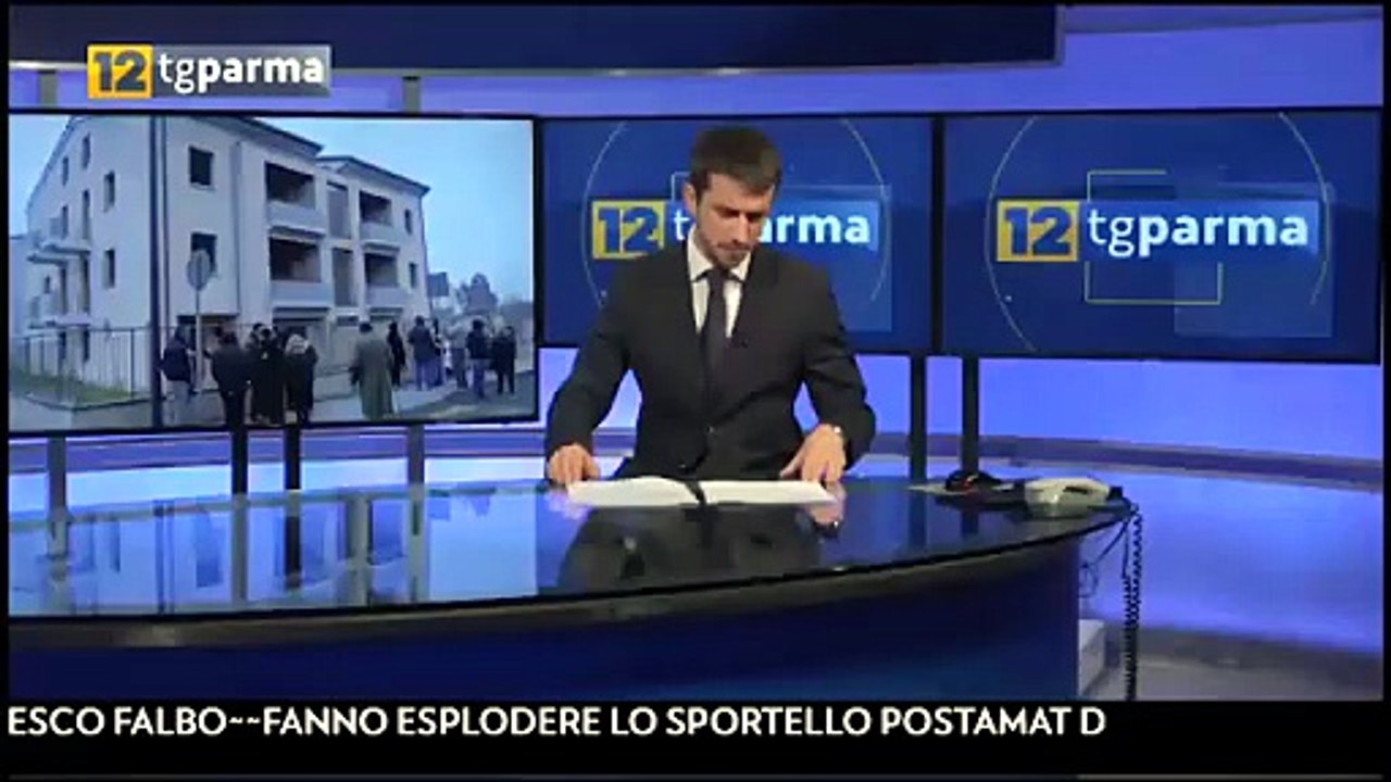 aemilia falbo