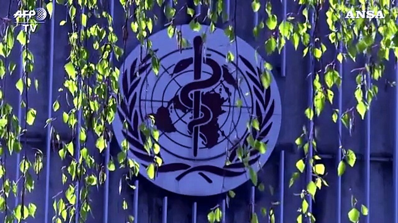 Coronavirus, l'ok dall'Oms per la ripresa della sperimentazione con l'idrossiclorochina