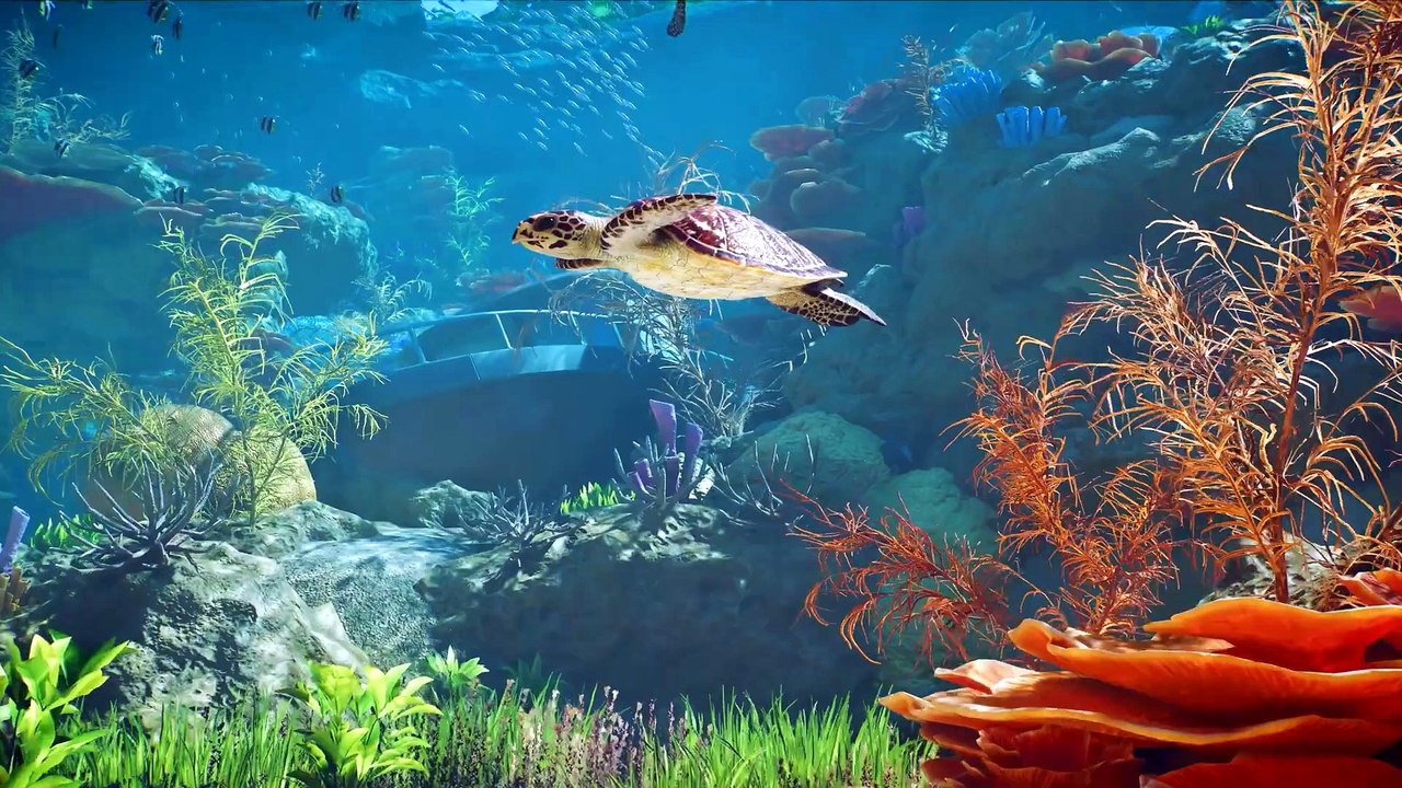 Planet Zoo erscheint schon im Oktober und zeigt im Trailer gleich zwei wunderschöne, neue Dimensionen