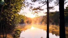 Relaxing Bamboo Tunes - Bamboo Flute in the Fog
