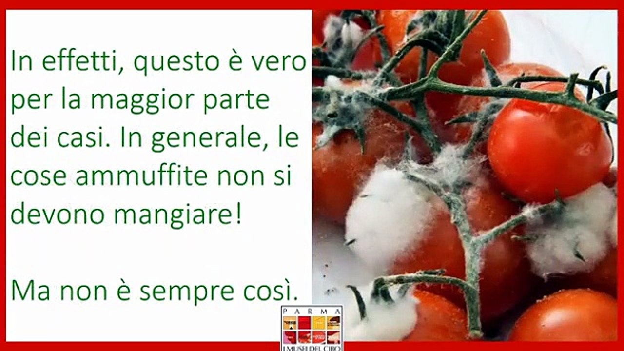 Si fa presto a dire MUFFA