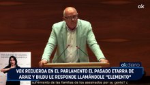 Vox recuerda en el Parlamento el pasado etarra de Araiz y Bildu le responde llamándole "elemento"