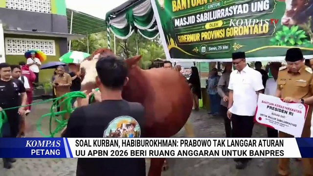 Habiburokhman Sebut Dana APBN untuk Sapi Kurban Prabowo Tak Langgar Aturan | KOMPAS PETANG