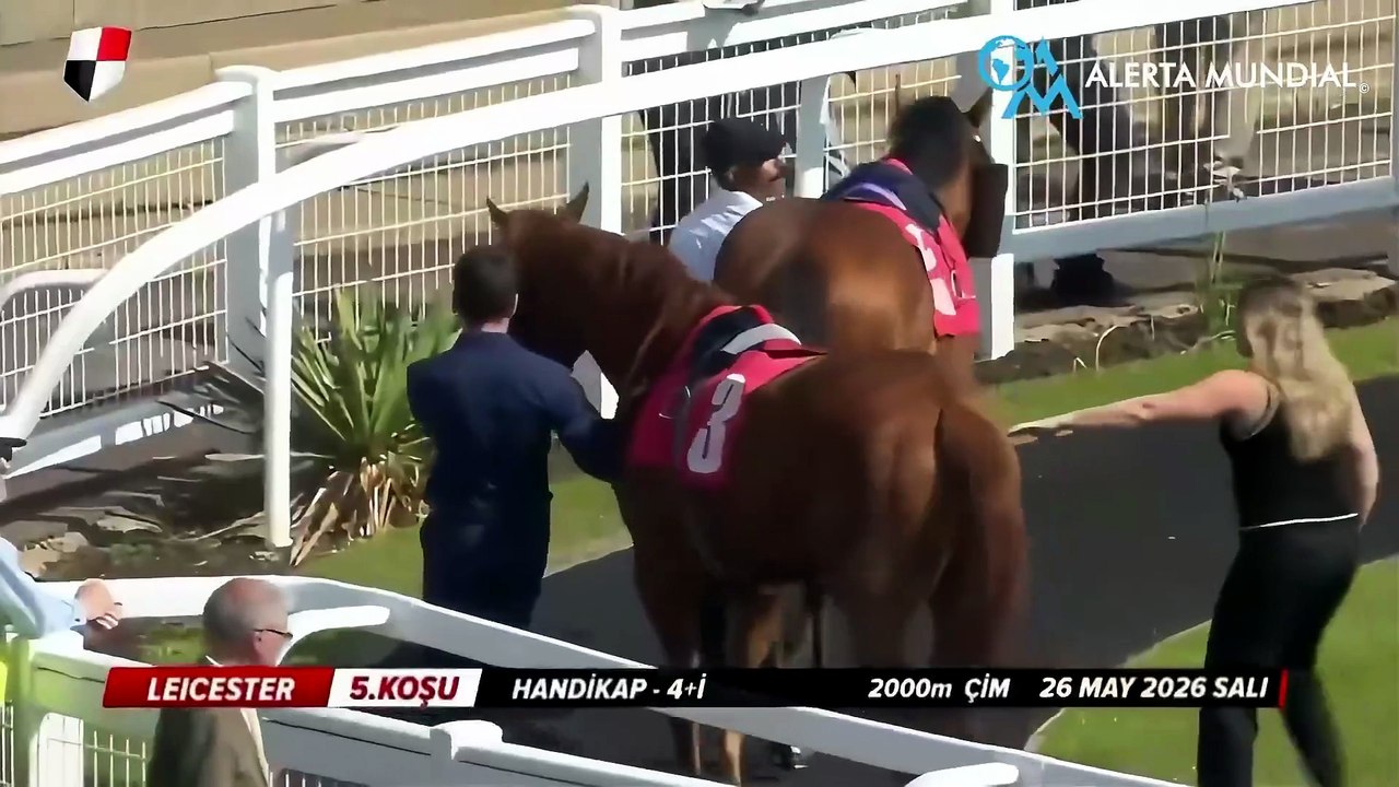 🇬🇧🏇 Yorkshire, une femme frappée par un cheval en direct