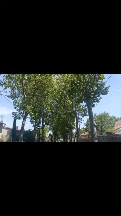 Europe Best Scene 2026