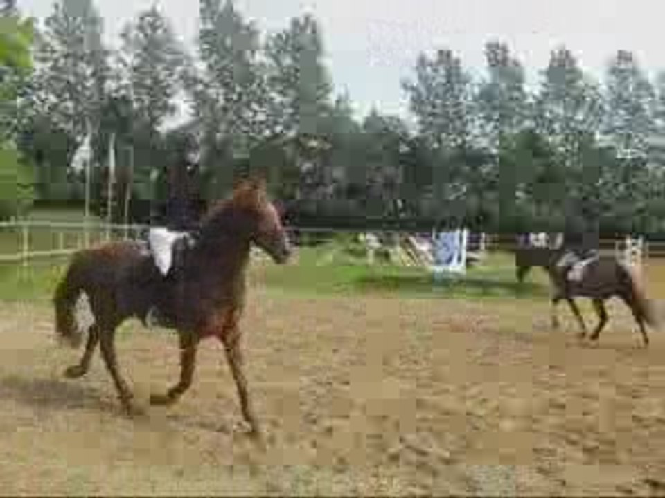 15.06.08 Thieulloy