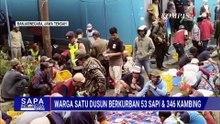 Rekor Terbanyak, 1 Dusun di Banjarnegara Kurban 53 Sapi dan 346 Kambing | SAPA MALAM