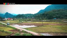 ời hứa đầu tiên - Tập 12