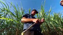 Farmer Wants a Wife Australia _ Season 4 Episode 4 ｜ Full Short Drama ｜ English Sub 2026 [xab9xsq]