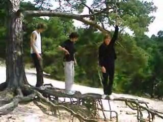 Sablière saut de racine en racine