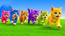 Paint Animals Cat Garfield Tom Hello Kitty Persian Cat Siamese Cat Maine Coon Fountain Crossing Animal Cartoon