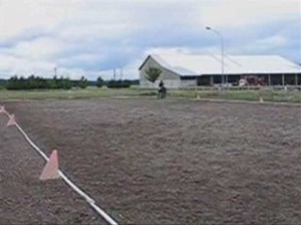 Dressage severine