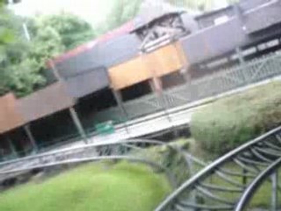 Bellewaerde cocinelle