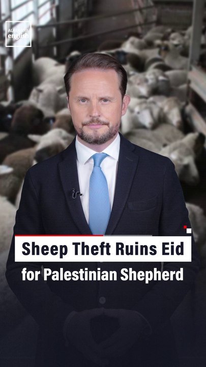 Sheep Theft Ruins Eid for Palestinian Shepherd