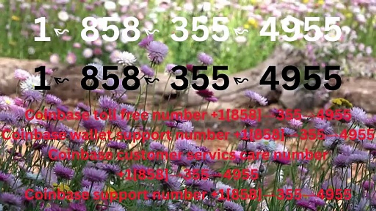 4955_!!!_Complete™ List of CoinbaseⓃ CUSTOMER© Care℗ (Toll Free Number Support) Numbers A Complete Guide