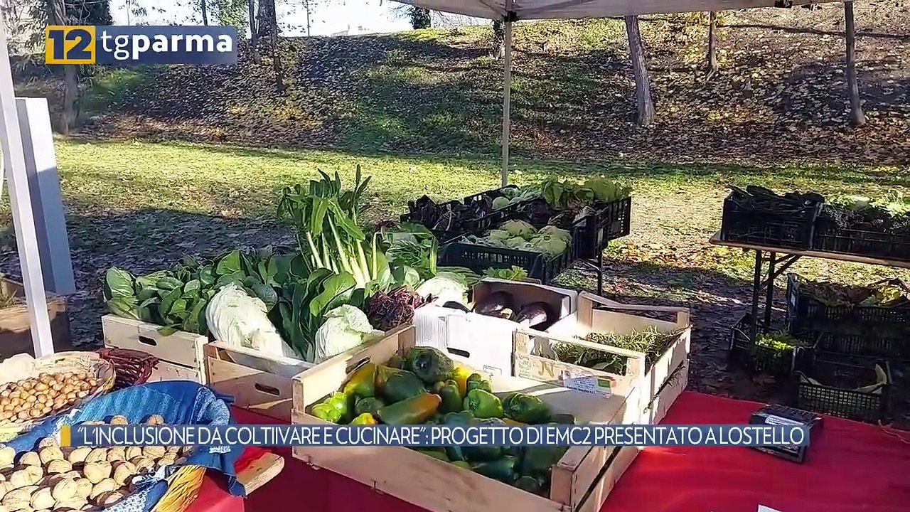 "L'INCLUSIONE DA COLTIIVARE E CUCINARE": PROGETTO DI EMC2 PRESENTATO A LOSTELLO | "L'INCLUSIONE DA COLTIIVARE E CUCINARE": PROGETTO DI EMC2 PRESENTATO A LOSTELLO