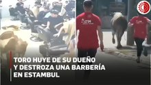 Un toro de 1.5 toneladas irrumpe en una barbería y causa pánico en Turquía