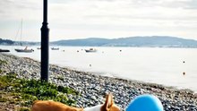 Dog playing with balloon #dog #kingdomofawais