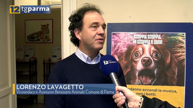 DIVIETO BOTTI DI CAPODANNO TRA RISCHIO SANZIONI E PERICOLI PER GLI ANIMALI | DIVIETO BOTTI DI CAPODANNO TRA RISCHIO SANZIONI E PERICOLI PER GLI ANIMALI