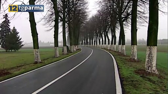 SOTTRAEVA DENARO ALL'AZIENDA PER CUI LAVORAVA: 40ENNE DENUNCIATO | SOTTRAEVA DENARO ALL'AZIENDA PER CUI LAVORAVA: 40ENNE DENUNCIATO