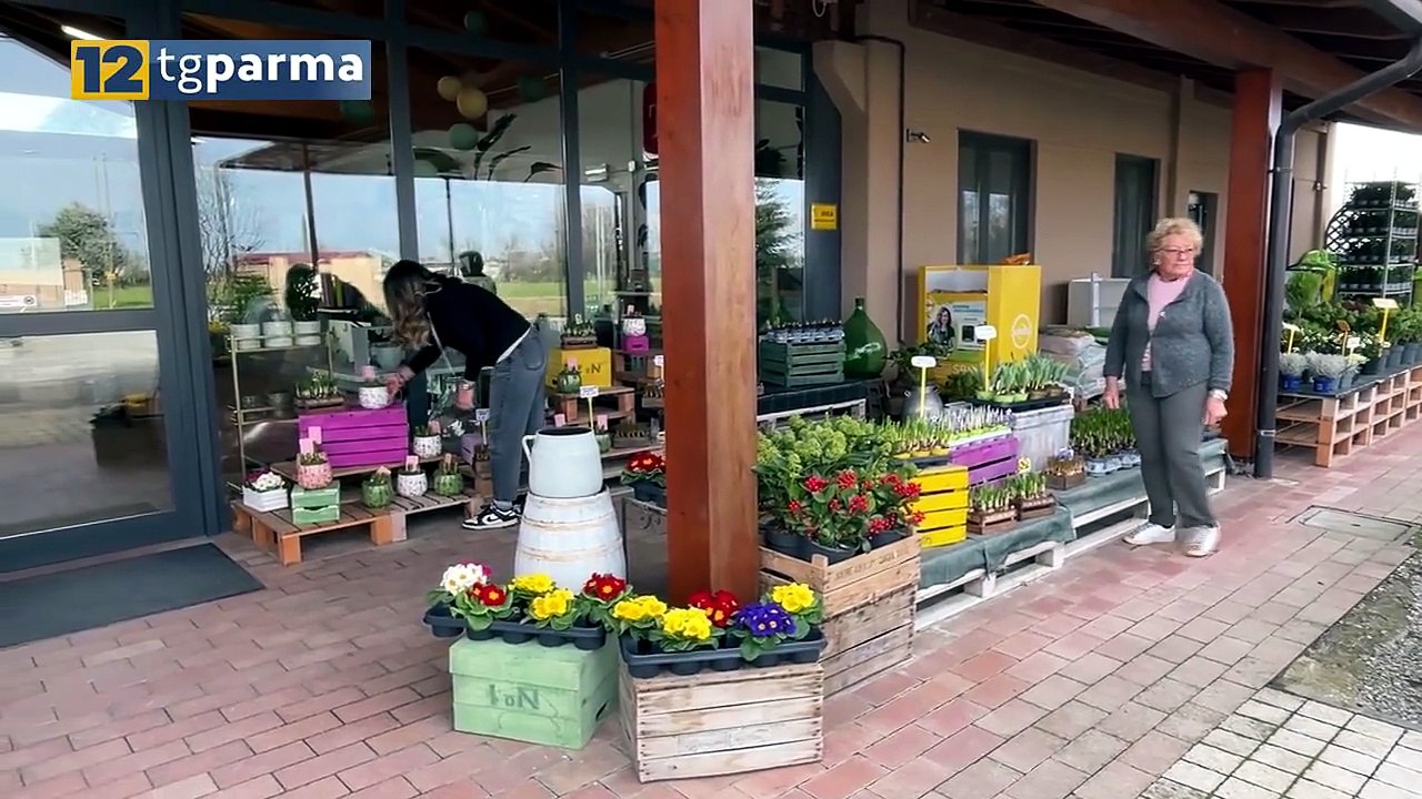 METTIAMO RADICI PER IL FUTURO: PIANTE GRATIS AL CENTRO VERDE DI VICOFERTILE | METTIAMO RADICI PER IL FUTURO: PIANTE GRATIS AL CENTRO VERDE DI VICOFERTILE