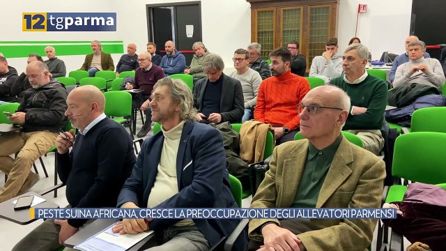 PESTE SUINA AFRICANA, CRESCE LA PREOCCUPAZIONE DEGLI ALLEVATORI PARMENSI | PESTE SUINA AFRICANA, CRESCE LA PREOCCUPAZIONE DEGLI ALLEVATORI PARMENSI