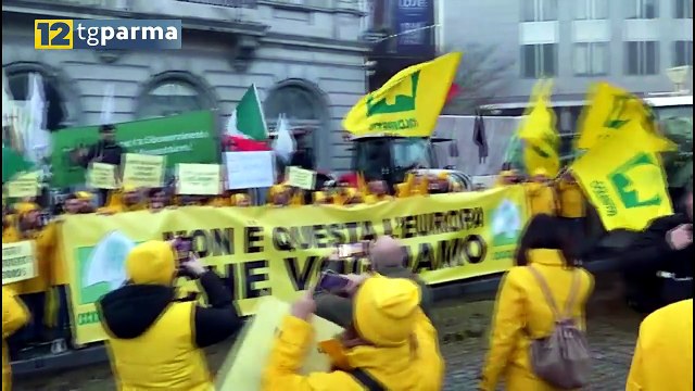 PROTESTA DEI TRATTORI A BRUXELLES: PRESENTI ANCHE AGRICOLTORI PARMIGIANI | PROTESTA DEI TRATTORI A BRUXELLES: PRESENTI ANCHE AGRICOLTORI PARMIGIANI