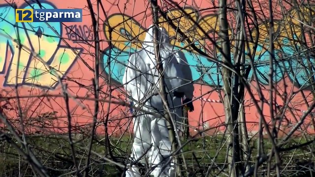CADAVERE RITROVATO IN VIA SIDOLI: INDAGINI IN CORSO PER L'IDENTIFICAZIONE | CADAVERE RITROVATO IN VIA SIDOLI: INDAGINI IN CORSO PER L'IDENTIFICAZIONE