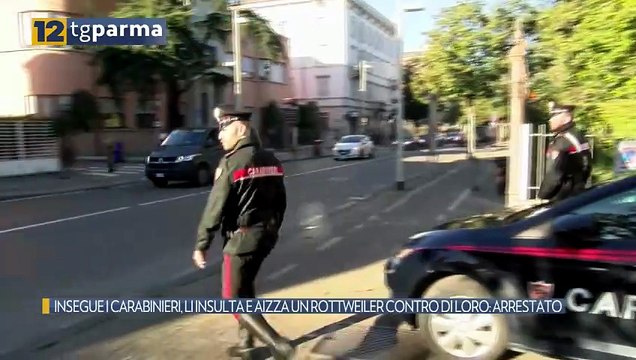 INSEGUE I CARABINIERI, LI INSULTA E AIZZA UN ROTTWEILER CONTRO DI LORO: ARRESTATO | INSEGUE I CARABINIERI, LI INSULTA E AIZZA UN ROTTWEILER CONTRO DI LORO: ARRESTATO