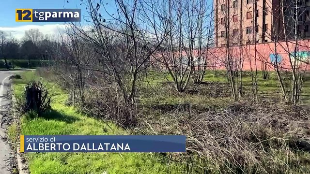 CASO OLLARI, SI ATTENDE L'AUTOPSIA PER CAPIRE COME È MORTA ALESSANDRA | CASO OLLARI, SI ATTENDE L'AUTOPSIA PER CAPIRE COME È MORTA ALESSANDRA