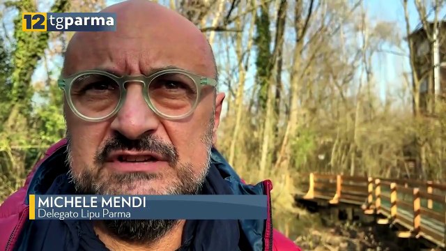 LIPU INAUGURA DUE NUOVI CAPANNI PER BIRDWATCHING NELL'OASI DI TORRILE | LIPU INAUGURA DUE NUOVI CAPANNI PER BIRDWATCHING NELL'OASI DI TORRILE