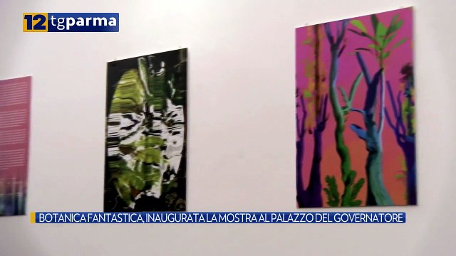 BOTANICA FANTASTICA, INAUGURATA LA MOSTRA AL PALAZZO DEL GOVERNATORE | BOTANICA FANTASTICA, INAUGURATA LA MOSTRA AL PALAZZO DEL GOVERNATORE