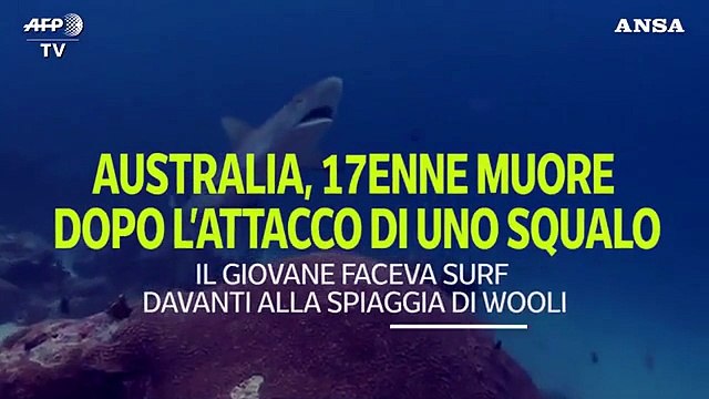 Australia, surfista 17enne muore attaccato da uno squalo