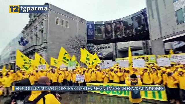 AGRICOLTURA, NUOVE PROTESTE A BRUXELLES: PRESENTI ANCHE DELEGAZIONI PARMIGIANE | AGRICOLTURA, NUOVE PROTESTE A BRUXELLES: PRESENTI ANCHE DELEGAZIONI PARMIGIANE