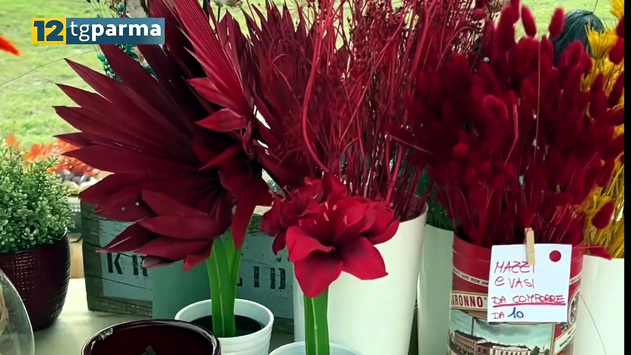 FONTEVIVO: SUCCESSO DELLA MOSTRA MERCATO "URBI ET HORTI" | FONTEVIVO: SUCCESSO DELLA MOSTRA MERCATO "URBI ET HORTI"